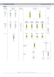 SIB-NSP-43C1.5 - Abutment SiBase NE SP1 Ø4.3x1.5 (packed with screw)