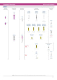 SIB-NX-30-40C1.5 - Abutment SiBase NE Ø3.0 ExHex Ø4.0x1.5