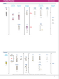 IV-EX30-3711 - Implant External Hex Inverta ø 3.0-3.7 x 11mm