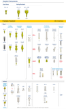 MCL-43-30D-4 - Abutment compact conical Trinex 30° ø 4.3x4mm
